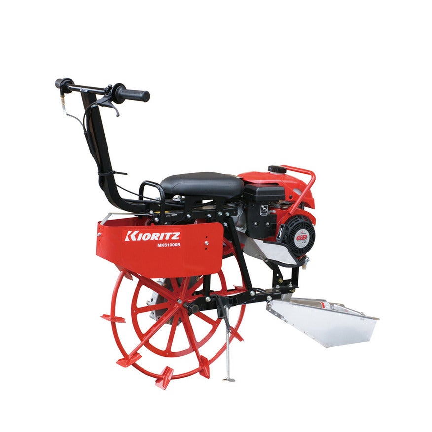 P.mericurius（1オス、中国青海省マチン山） 1_076ba8df-7bd6-4108-9350-