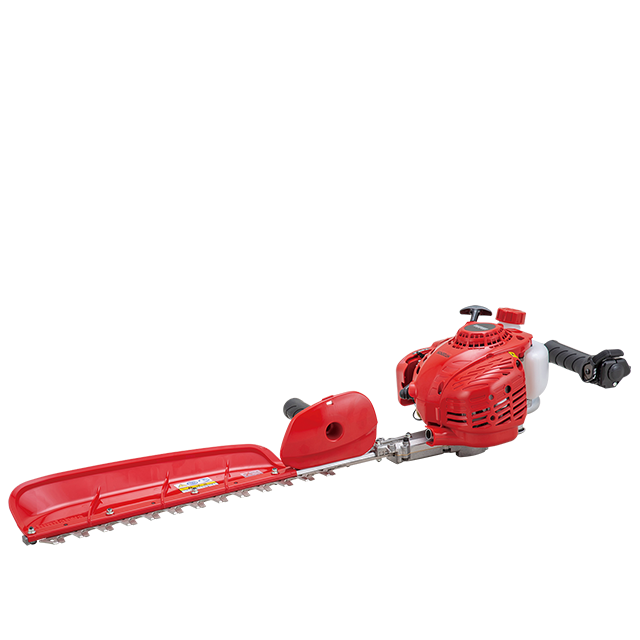 山採り　ヤマモミジ　ウワミズザクラ　混合株 HT2211S-600B | 新ダイワ【公式】