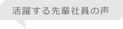 活躍する先輩社員の声