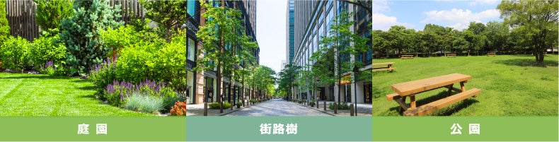 庭園、街路樹、公園