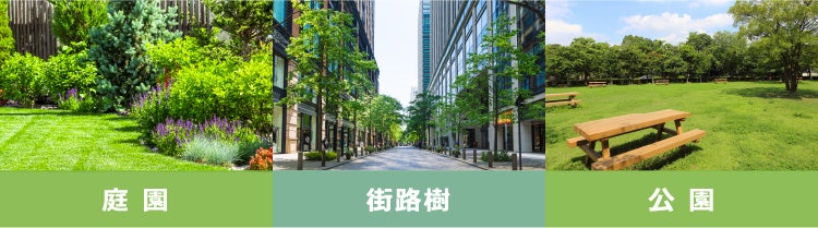 庭園、街路樹、公園