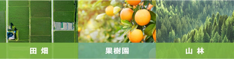 田畑、果樹園、山林