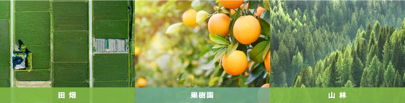 田畑、果樹園、山林
