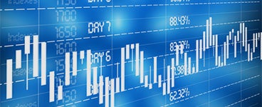 Shareholder and Stock Information