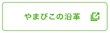 やまびこの沿革