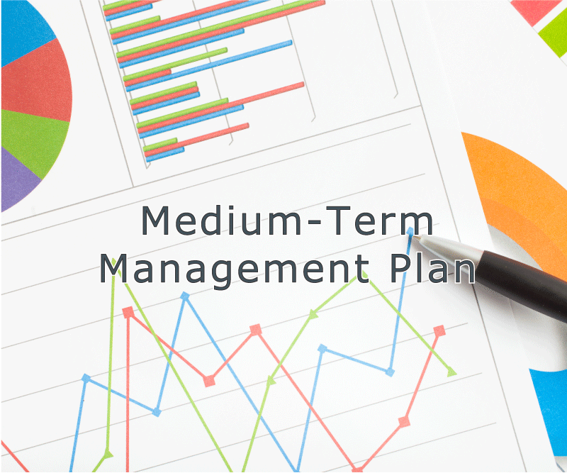 The Medium-Term Management Plan 2025