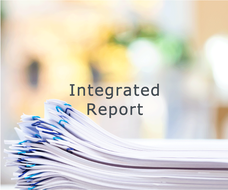 integrated report