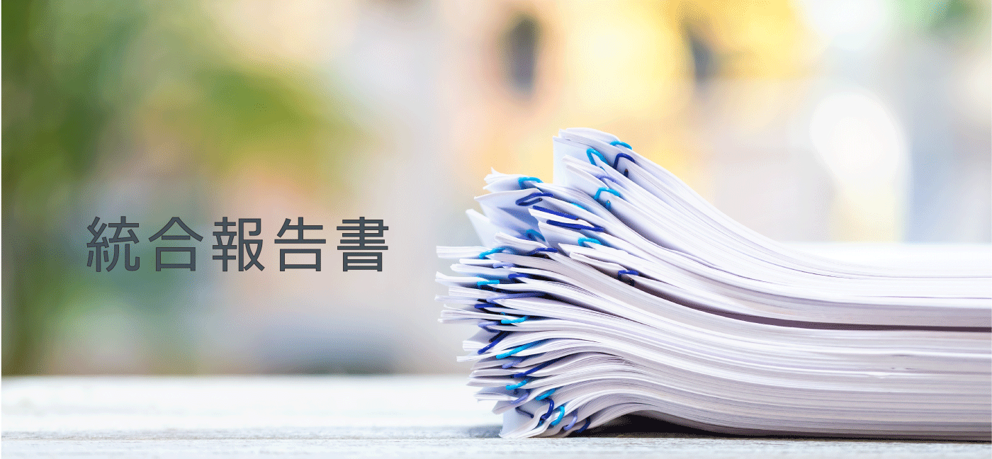 統合報告書