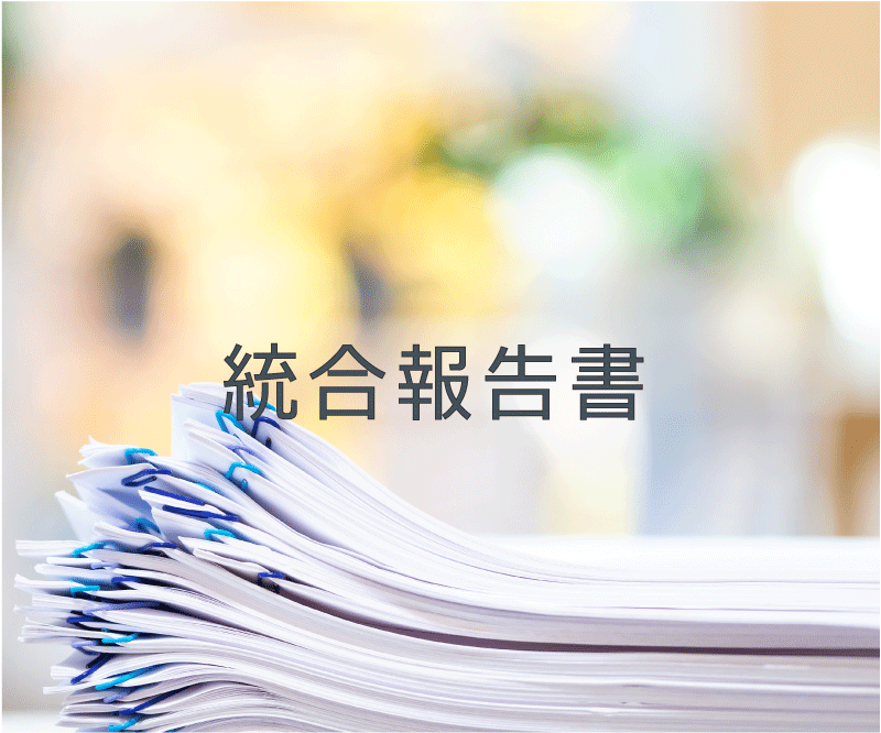 統合報告書